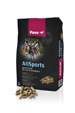 Pavo AllSports - Täysrehu urheiluhevosille